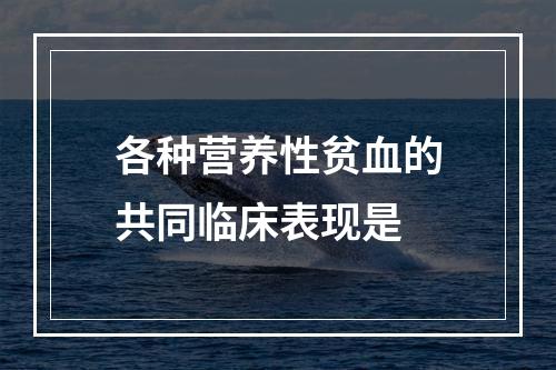 各种营养性贫血的共同临床表现是