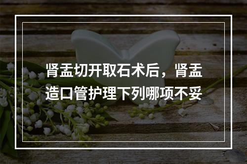 肾盂切开取石术后，肾盂造口管护理下列哪项不妥