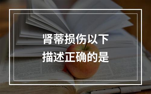 肾蒂损伤以下描述正确的是