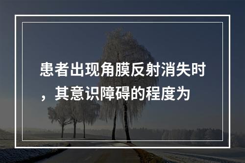 患者出现角膜反射消失时，其意识障碍的程度为