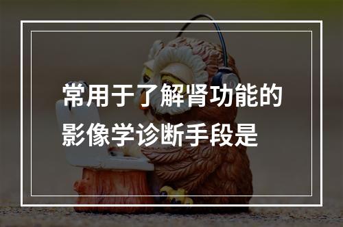 常用于了解肾功能的影像学诊断手段是