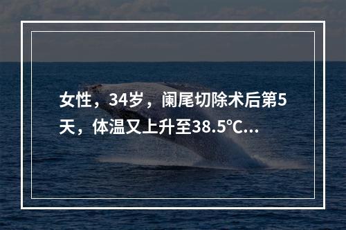 女性，34岁，阑尾切除术后第5天，体温又上升至38.5℃，下