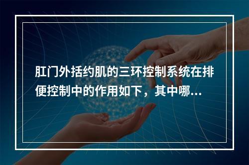 肛门外括约肌的三环控制系统在排便控制中的作用如下，其中哪一个