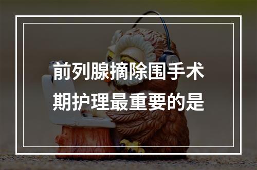 前列腺摘除围手术期护理最重要的是