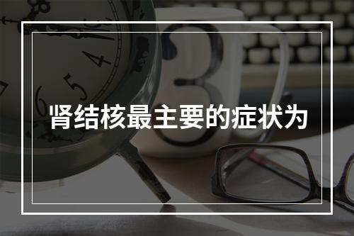 肾结核最主要的症状为