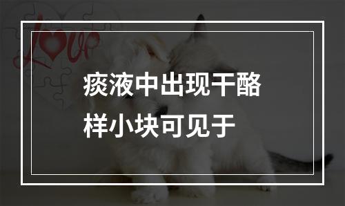 痰液中出现干酪样小块可见于