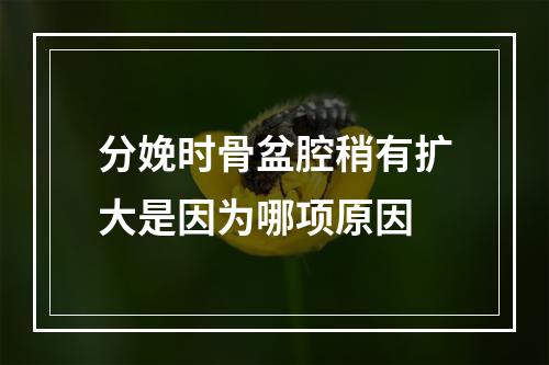 分娩时骨盆腔稍有扩大是因为哪项原因