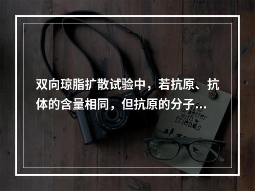 双向琼脂扩散试验中，若抗原、抗体的含量相同，但抗原的分子量比