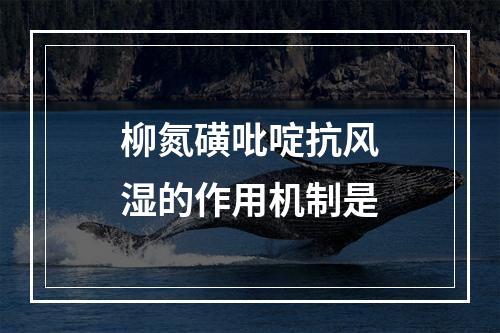 柳氮磺吡啶抗风湿的作用机制是