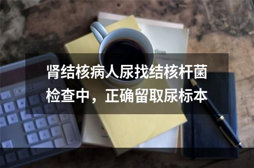 肾结核病人尿找结核杆菌检查中，正确留取尿标本