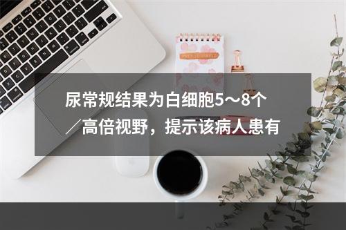 尿常规结果为白细胞5～8个／高倍视野，提示该病人患有