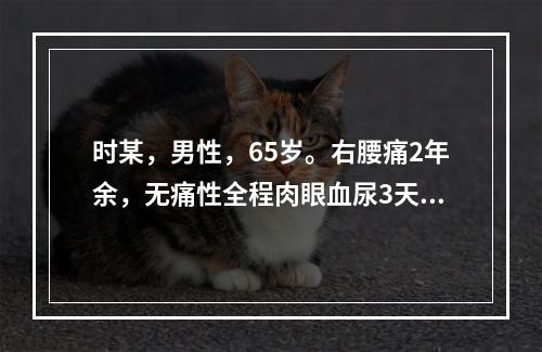 时某，男性，65岁。右腰痛2年余，无痛性全程肉眼血尿3天，查