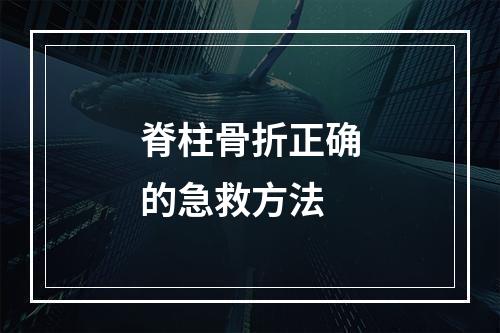 脊柱骨折正确的急救方法