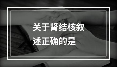 关于肾结核叙述正确的是