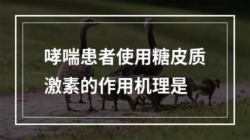 哮喘患者使用糖皮质激素的作用机理是