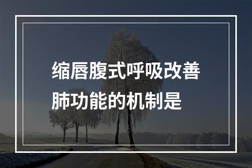 缩唇腹式呼吸改善肺功能的机制是