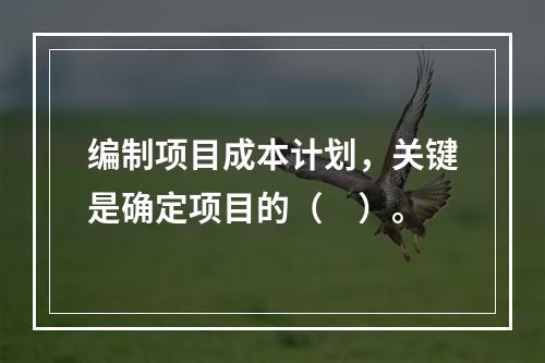 编制项目成本计划，关键是确定项目的（　）。