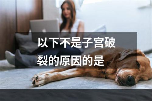 以下不是子宫破裂的原因的是