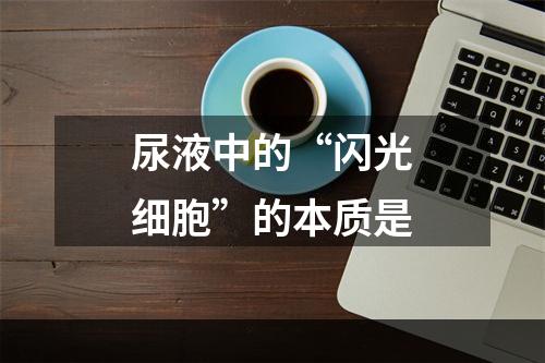 尿液中的“闪光细胞”的本质是