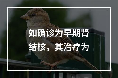 如确诊为早期肾结核，其治疗为