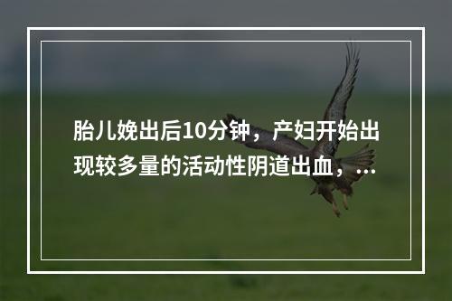 胎儿娩出后10分钟，产妇开始出现较多量的活动性阴道出血，最可