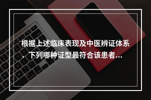 根据上述临床表现及中医辨证体系．下列哪种证型最符合该患者的病