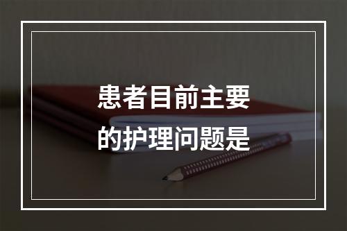 患者目前主要的护理问题是