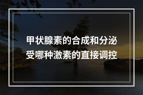 甲状腺素的合成和分泌受哪种激素的直接调控