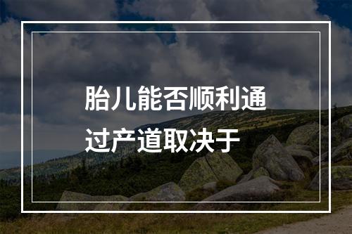 胎儿能否顺利通过产道取决于