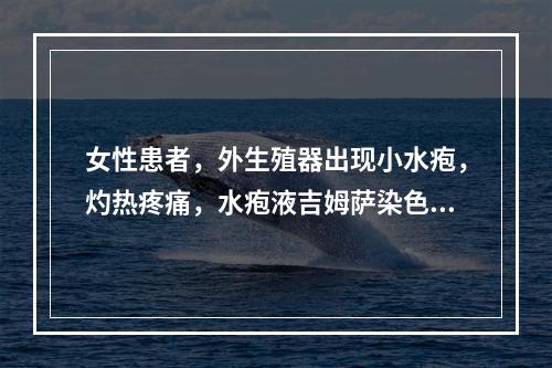 女性患者，外生殖器出现小水疱，灼热疼痛，水疱液吉姆萨染色见核