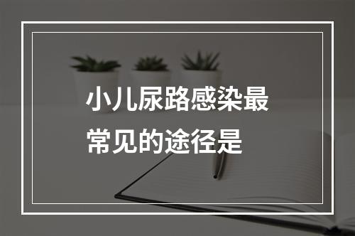 小儿尿路感染最常见的途径是