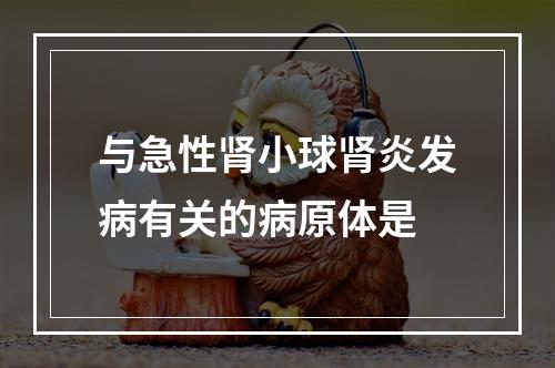 与急性肾小球肾炎发病有关的病原体是