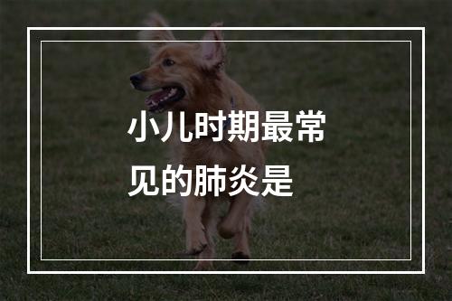 小儿时期最常见的肺炎是