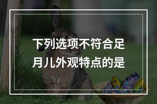 下列选项不符合足月儿外观特点的是