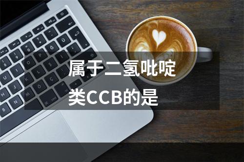 属于二氢吡啶类CCB的是