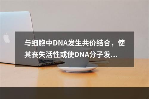 与细胞中DNA发生共价结合，使其丧失活性或使DNA分子发生断