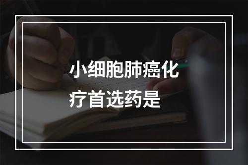 小细胞肺癌化疗首选药是