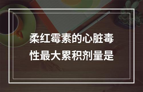 柔红霉素的心脏毒性最大累积剂量是