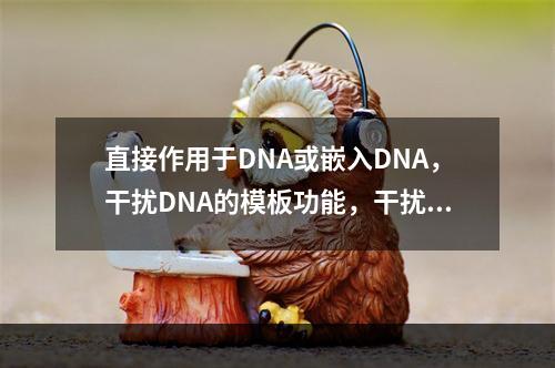 直接作用于DNA或嵌入DNA，干扰DNA的模板功能，干扰转录