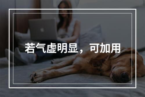 若气虚明显，可加用