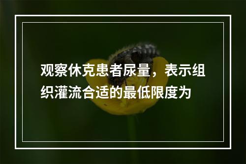 观察休克患者尿量，表示组织灌流合适的最低限度为