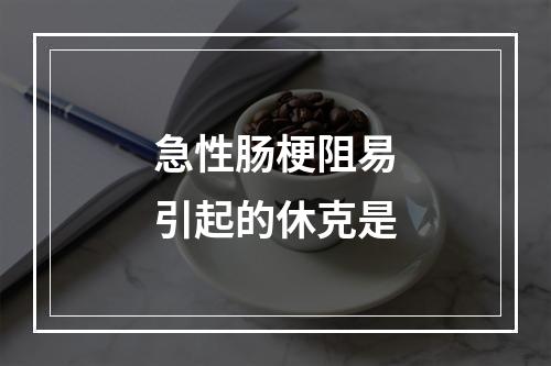 急性肠梗阻易引起的休克是