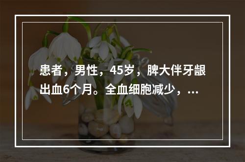 患者，男性，45岁，脾大伴牙龈出血6个月。全血细胞减少，以