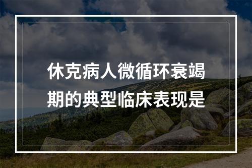 休克病人微循环衰竭期的典型临床表现是