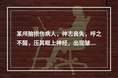 某颅脑损伤病人，神志丧失，呼之不醒，压其眶上神经，出现皱眉、