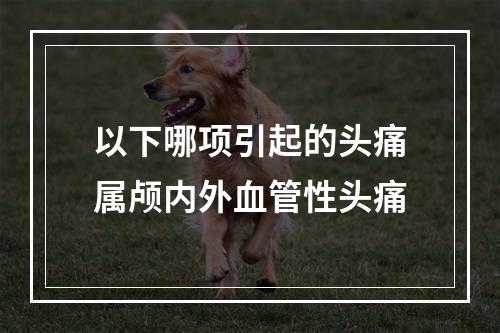 以下哪项引起的头痛属颅内外血管性头痛