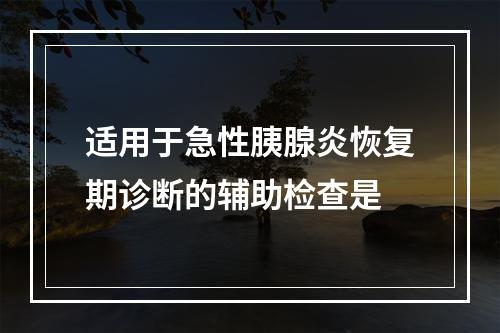 适用于急性胰腺炎恢复期诊断的辅助检查是