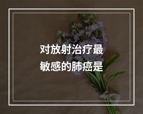 对放射治疗最敏感的肺癌是