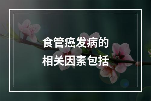 食管癌发病的相关因素包括