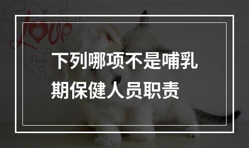 下列哪项不是哺乳期保健人员职责